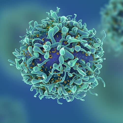 celula-cancer