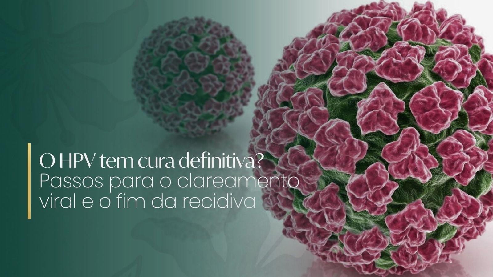 O HPV tem cura definitiva? Passos para o clareamento viral e o fim da ...